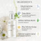 The Face Shop White Seed Brightening Serum 50Ml
